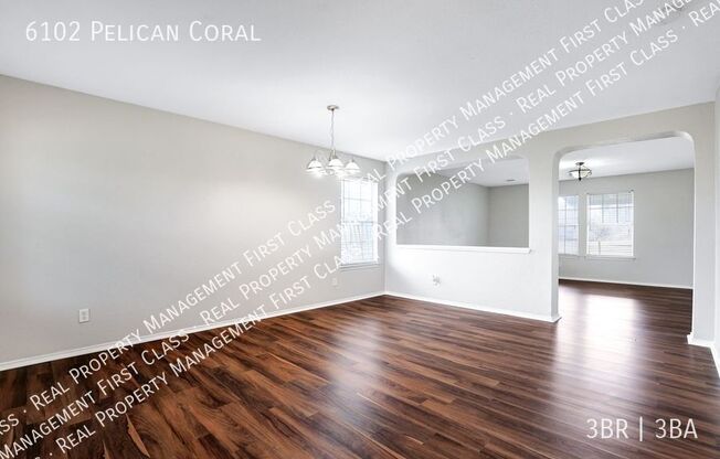 6102 PELICAN CORAL