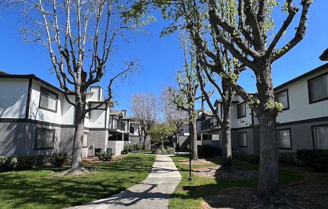 a tree lined sidewalk in the middle of an apartment complex