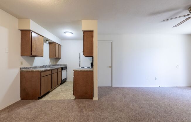 1 bed, 1 bath, 710 sqft, $595