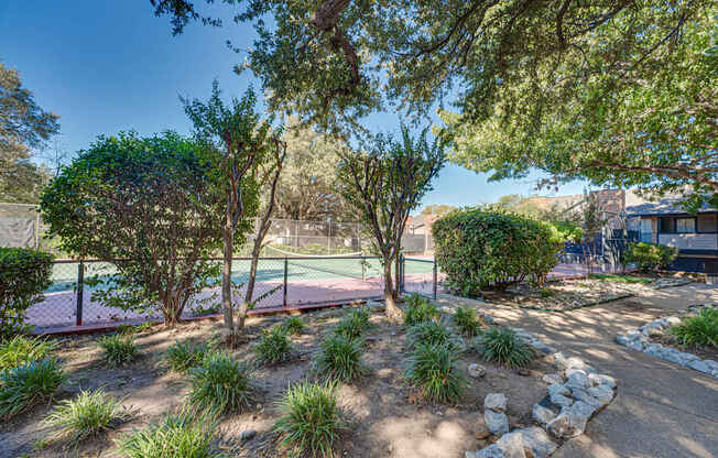 A backyard with a tennis court surrounded by trees and bushes.