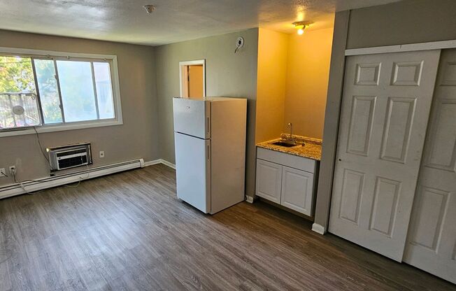 Studio, 1 bath, $916, Unit 308