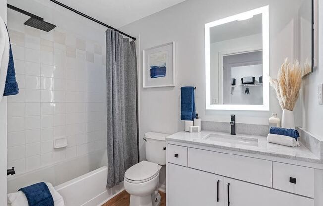 a bathroom with a sink and a toilet and a shower