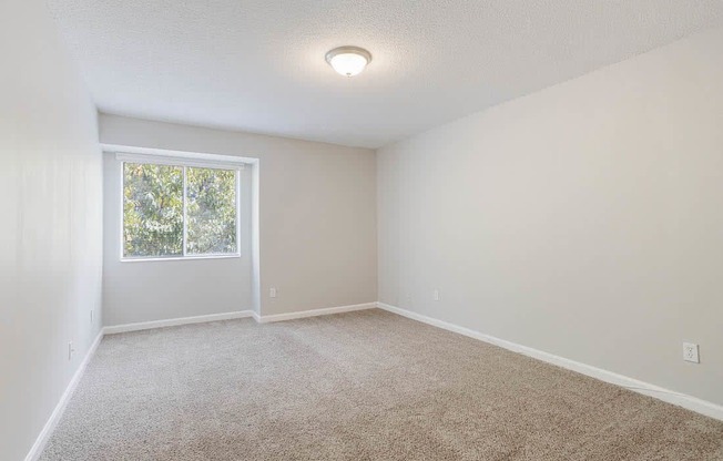 A room with a carpeted floor and a window.