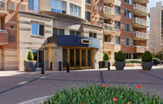 Aura Pentagon City