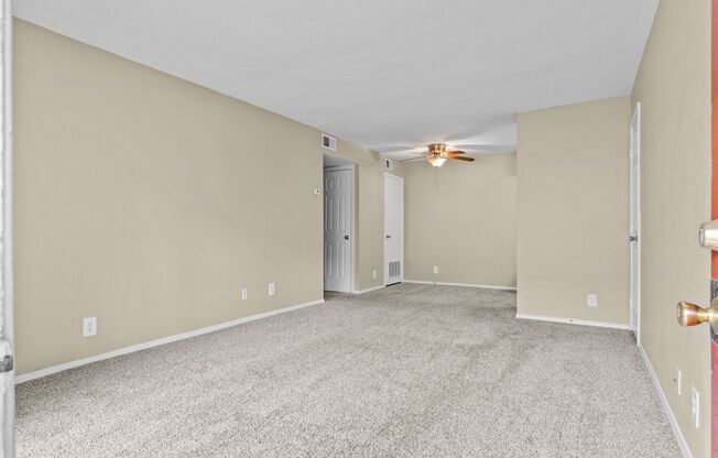 1 bed, 1 bath, 720 sqft, $899, Unit Apt 509