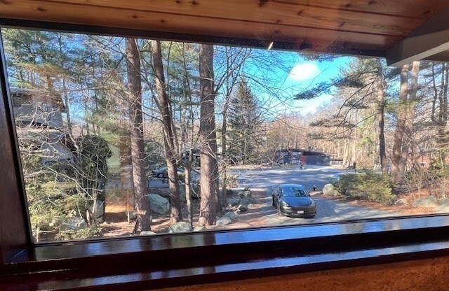 12 WHITE PINE LN
