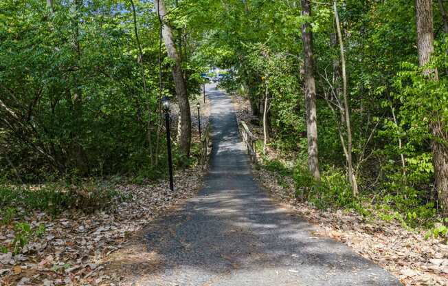 a dirt road with trees on both sides and a fence on the side