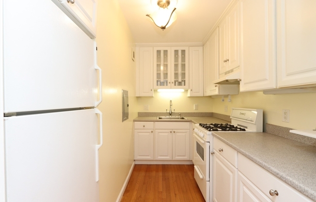 24 JUNIPER ST