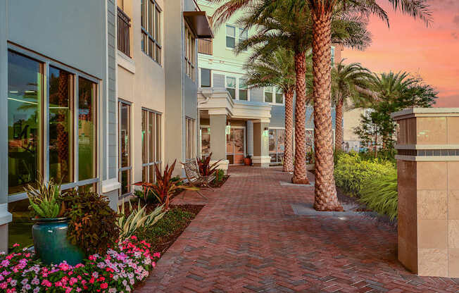 A brick pathway leads to a building with a palm tree and a potted plant on the left.