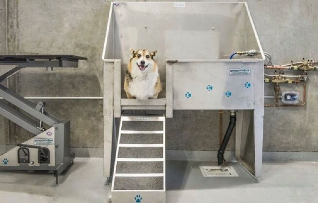 1 bed, 1 bath, 599 sqft, $1,449, Unit 602