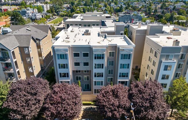 Terrace Apartments