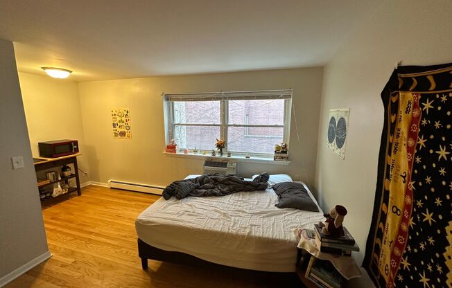 Studio, 1 bath, $1,485, Unit 366