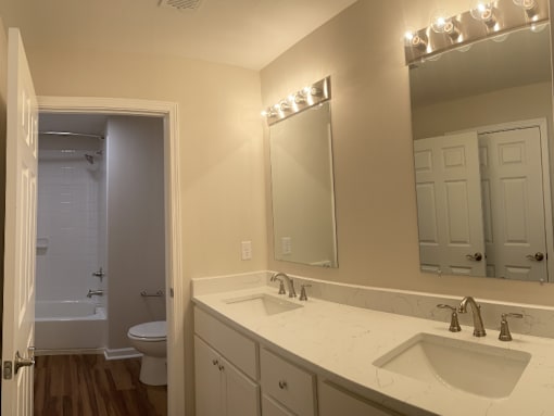 a bathroom with a sink and a mirror and a toilet