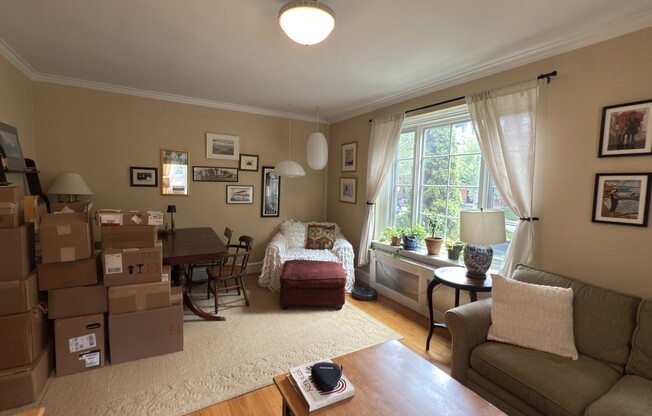17 MONMOUTH CT