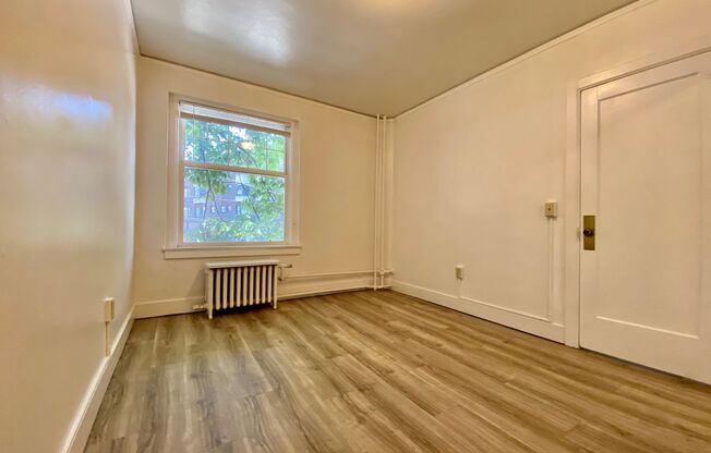 1 bed, 1 bath, 335 sqft, $1,350, Unit 207