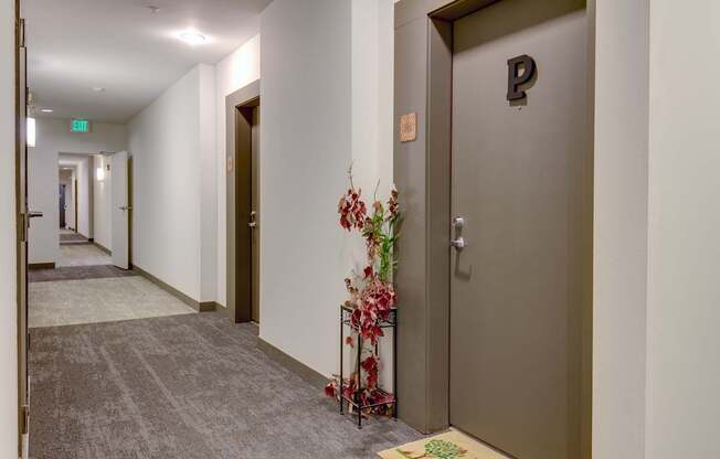 A hallway with a brown door and a plant on the floor.