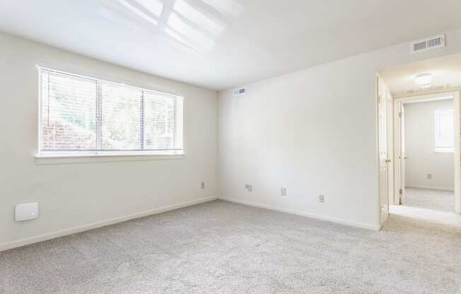 A room with a carpeted floor and a window letting in natural light