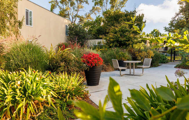 A patio with a table and chairs surrounded by green plants.