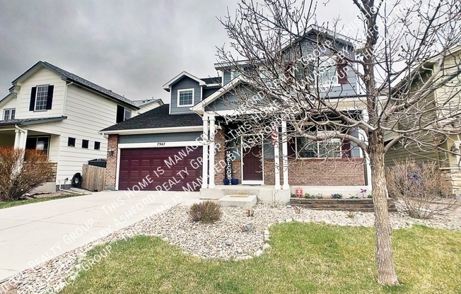7947 IRISH DR