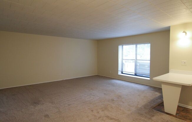 Studio, 1 bath, 520 sqft, $850, Unit 107