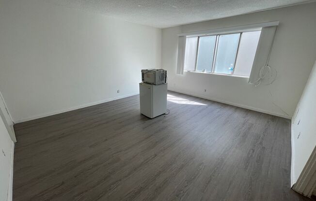 Studio, 1 bath, 250 sqft, $1,995