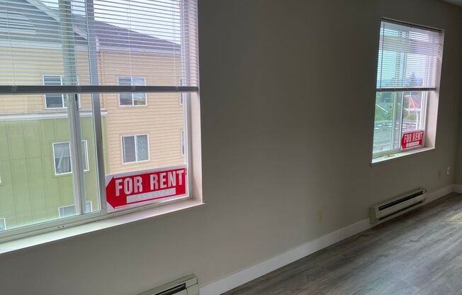 Studio, 1 bath, 462 sqft, $1,350, Unit 213