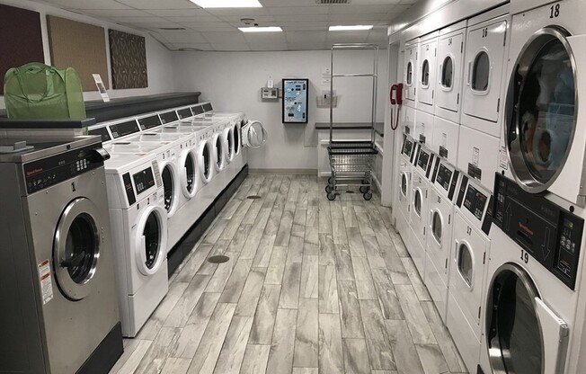 Studio, 1 bath, 500 sqft, $2,400, Unit 208