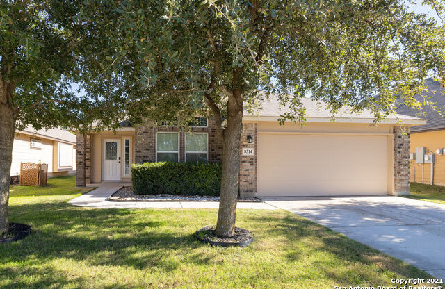 8514 MEXICAN ALDER