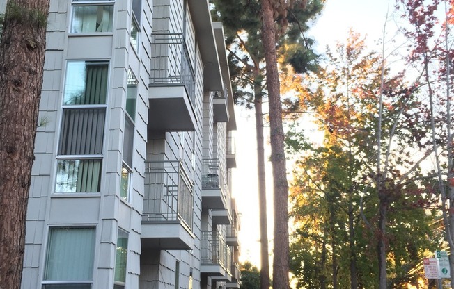1 bed, 1 bath, 550 sqft, $2,295, Unit 101