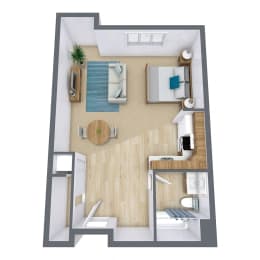Studio, 1 bath, 565 sqft, $1,230