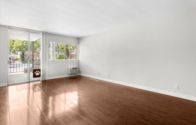 Angeleno (#567)
