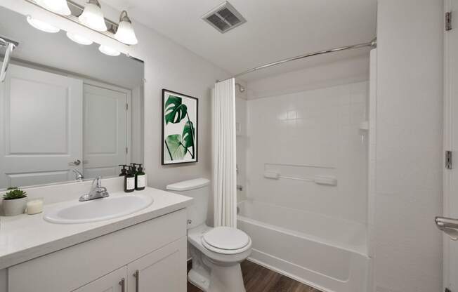 a bathroom with a shower toilet and sink and a mirror at Rush River Apartments, Sacramento