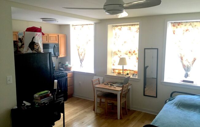 Studio, 1 bath, 270 sqft, $965, Unit 100