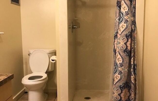 Studio, 1 bath, $1,550, Unit # #A 902
