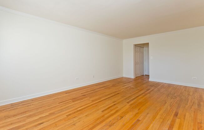 Studio, 1 bath, $1,195, Unit 505
