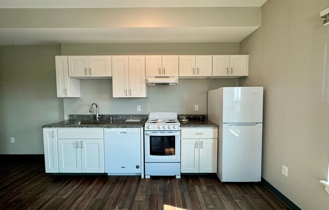 Studio, 1 bath, 420 sqft, $1,600, Unit 403