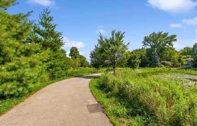 a path through a park with trees and grass on either side