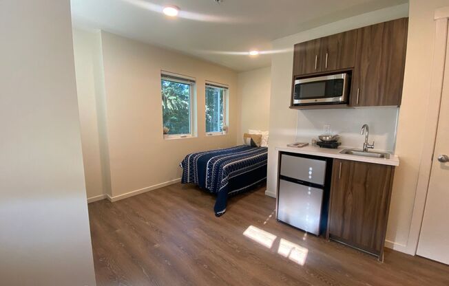 Studio, 1 bath, 178 sqft, $1,425, Unit 301