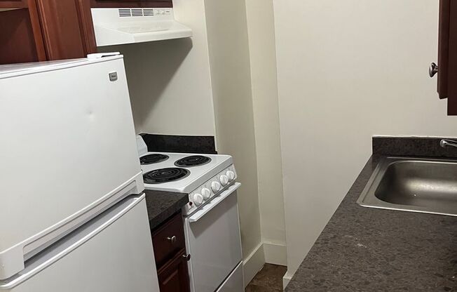 Studio, 1 bath, 224 sqft, $1,000, Unit 411