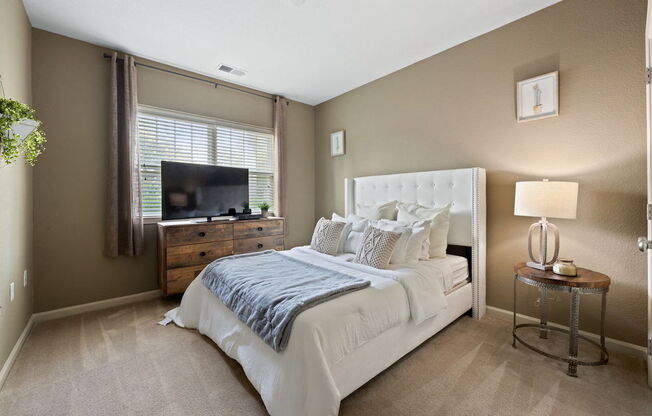 spacious bedroom with model furnishings, plush window, and large window