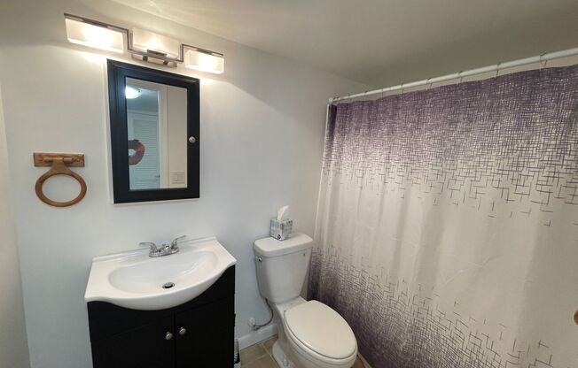 1 bed, 1 bath, $1,300, Unit Unit 908