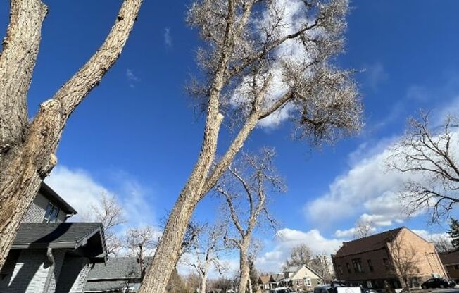 3 beds, 1 bath, 650 sqft, $1,445, Unit 1213 - 09