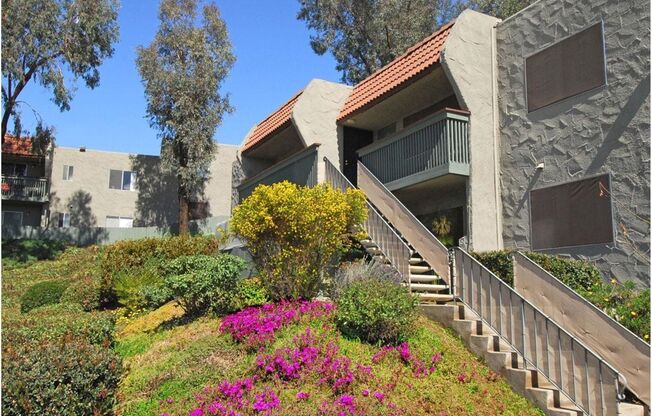 Summit Creek Apartments