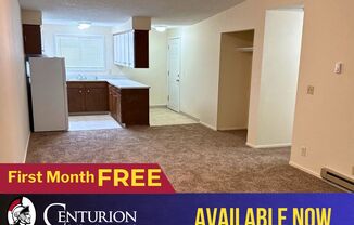 1122 HINES ST SE