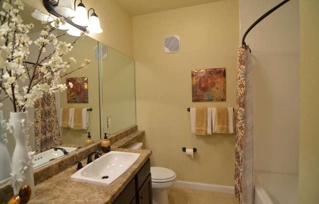 A clean, well-lit bathroom here at Andalucia Villas with a bathtub-shower combo, light neutral walls, and a granite countertop vanity with a white sink, complemented by a large mirror, warm lighting, and neatly arranged towel accents for a fresh, inviting feel.