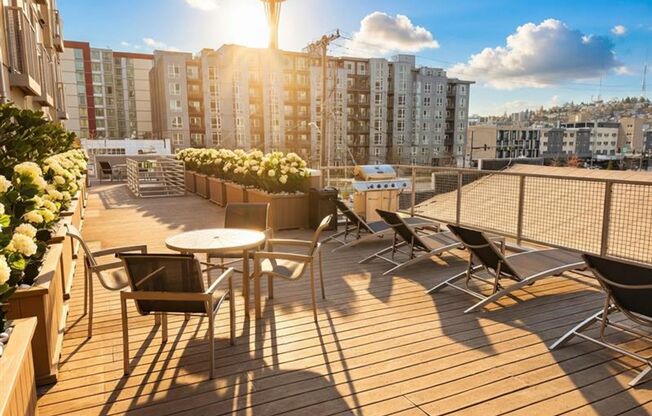 Borealis Apartments