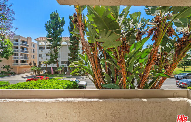 Studio, 1 bath, 403 sqft, $2,499, Unit 217