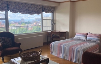 1 bed, 1 bath, 590 sqft, $3,500, Unit 17J