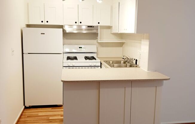 Studio, 1 bath, 332 sqft, $1,300, Unit 216