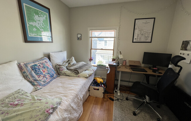 46 Shannon St # 2